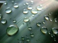 IMG_5419.JPG Kopie.jpg